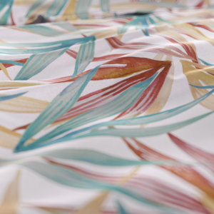 Aster Multi 240 x 220