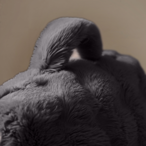 Bedrest Pompom Antraciet 34 x 50